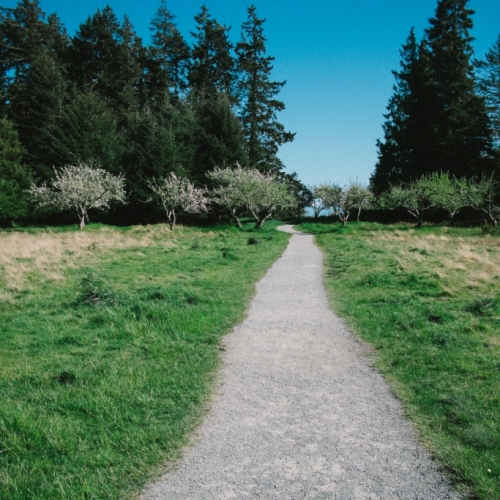   Create Your Own Path - Career